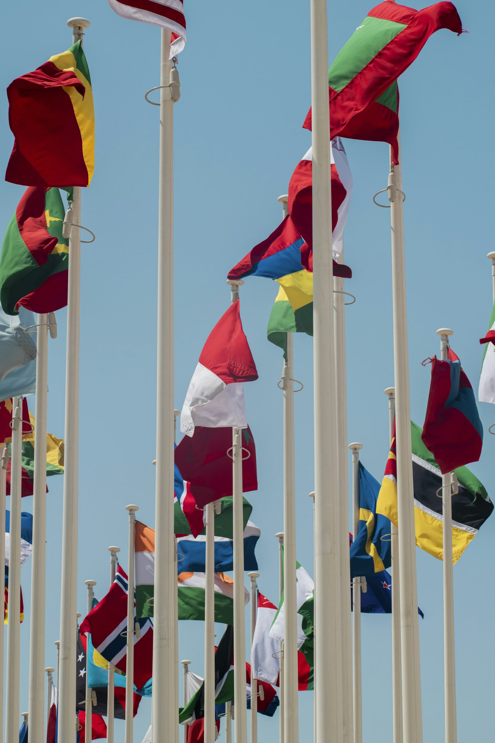 Transforming International Sports: Effective Governance Reforms for Federations Transforming International Sports: Effective Governance Reforms for Federations