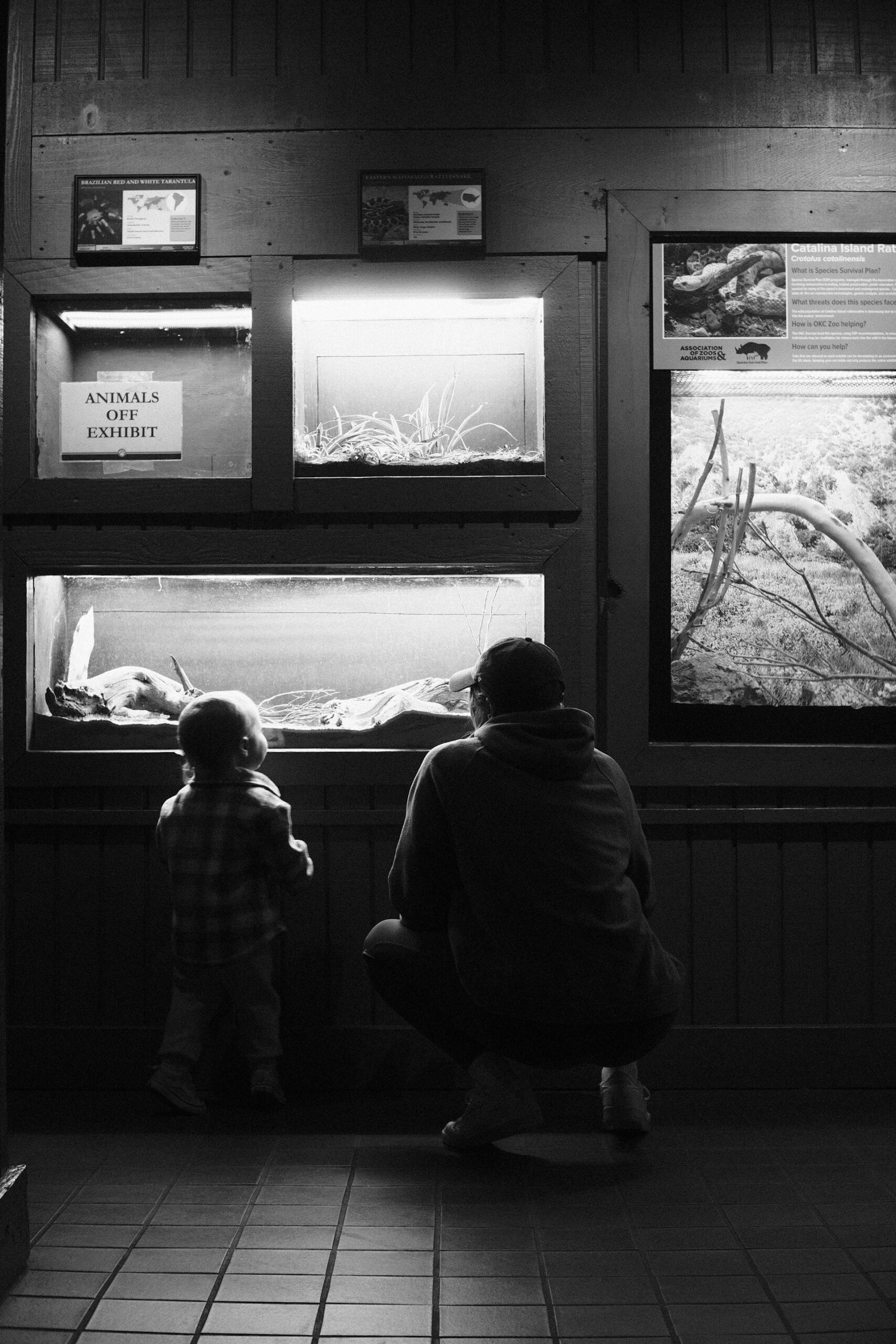 Storytelling: Reviving Family Bonds Through Shared Narratives Storytelling: Reviving Family Bonds Through Shared Narratives